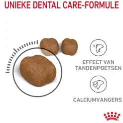 Royal Canin Dental Care - Kattenvoer