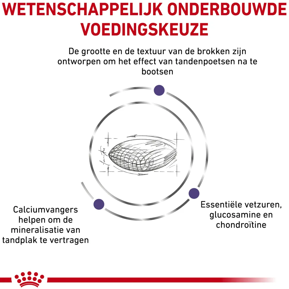 Royal Canin Dental Hond