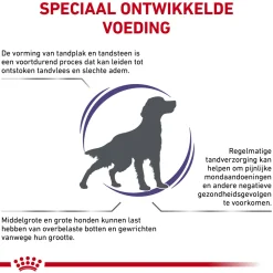 Royal Canin Dental Hond