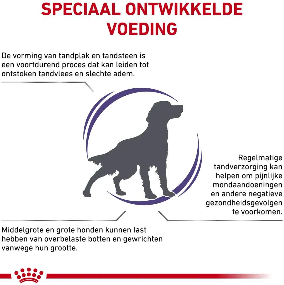 Royal Canin Dental Hond