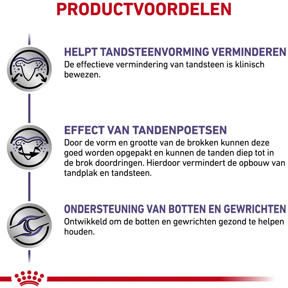 Royal Canin Dental Hond