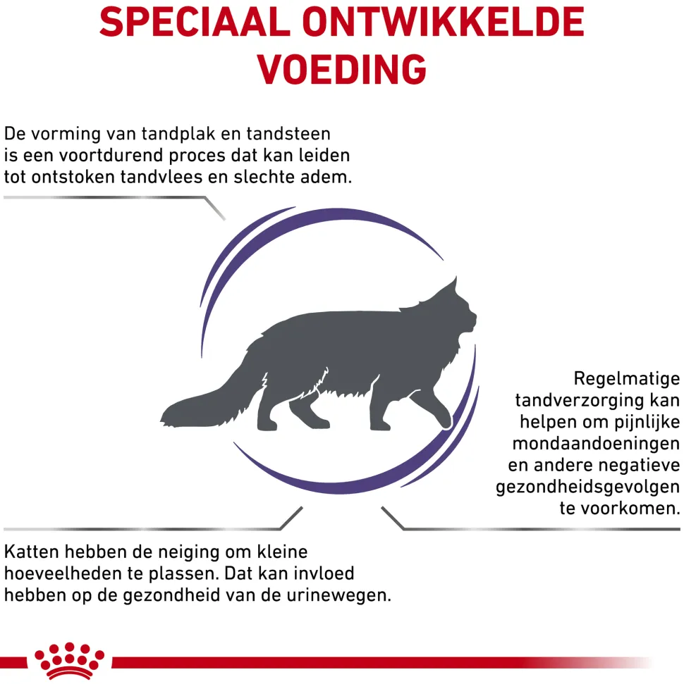 Royal Canin Dental Kat