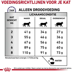 Royal Canin Dental Kat