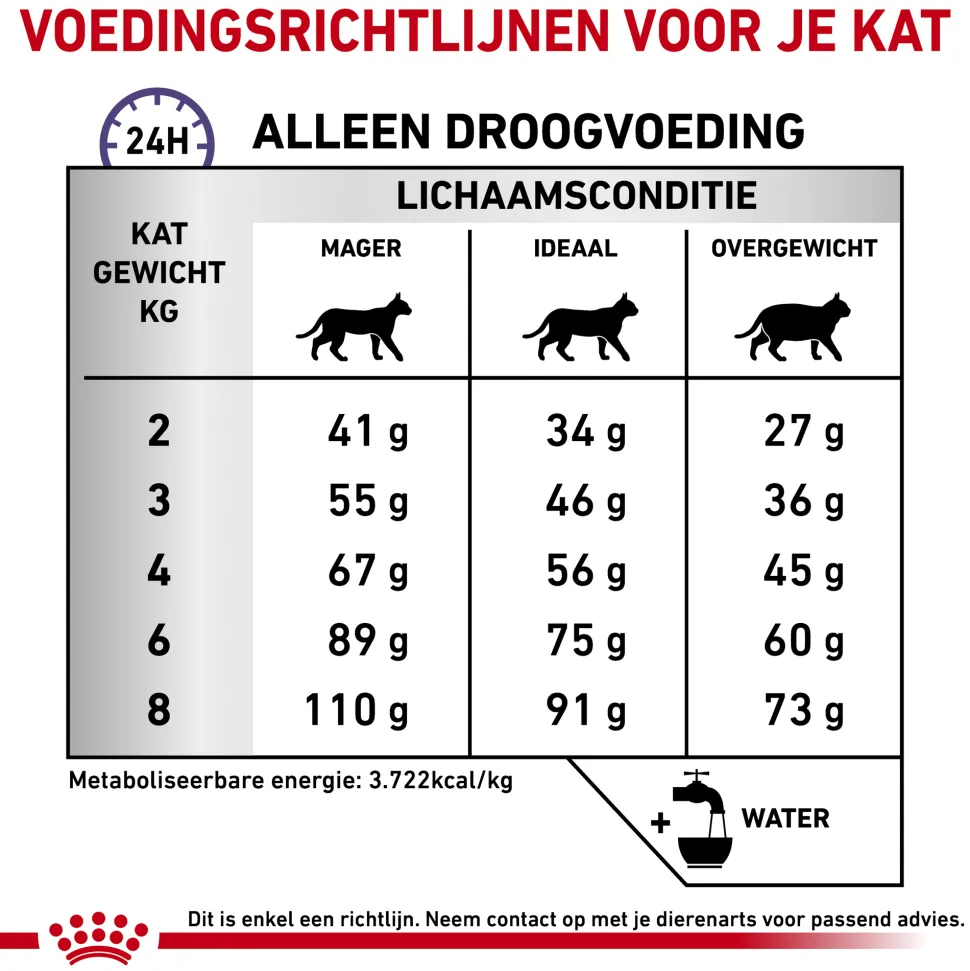 Royal Canin Dental Kat