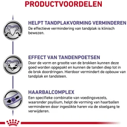 Royal Canin Dental Kat
