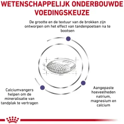Royal Canin Dental Kleine Hond