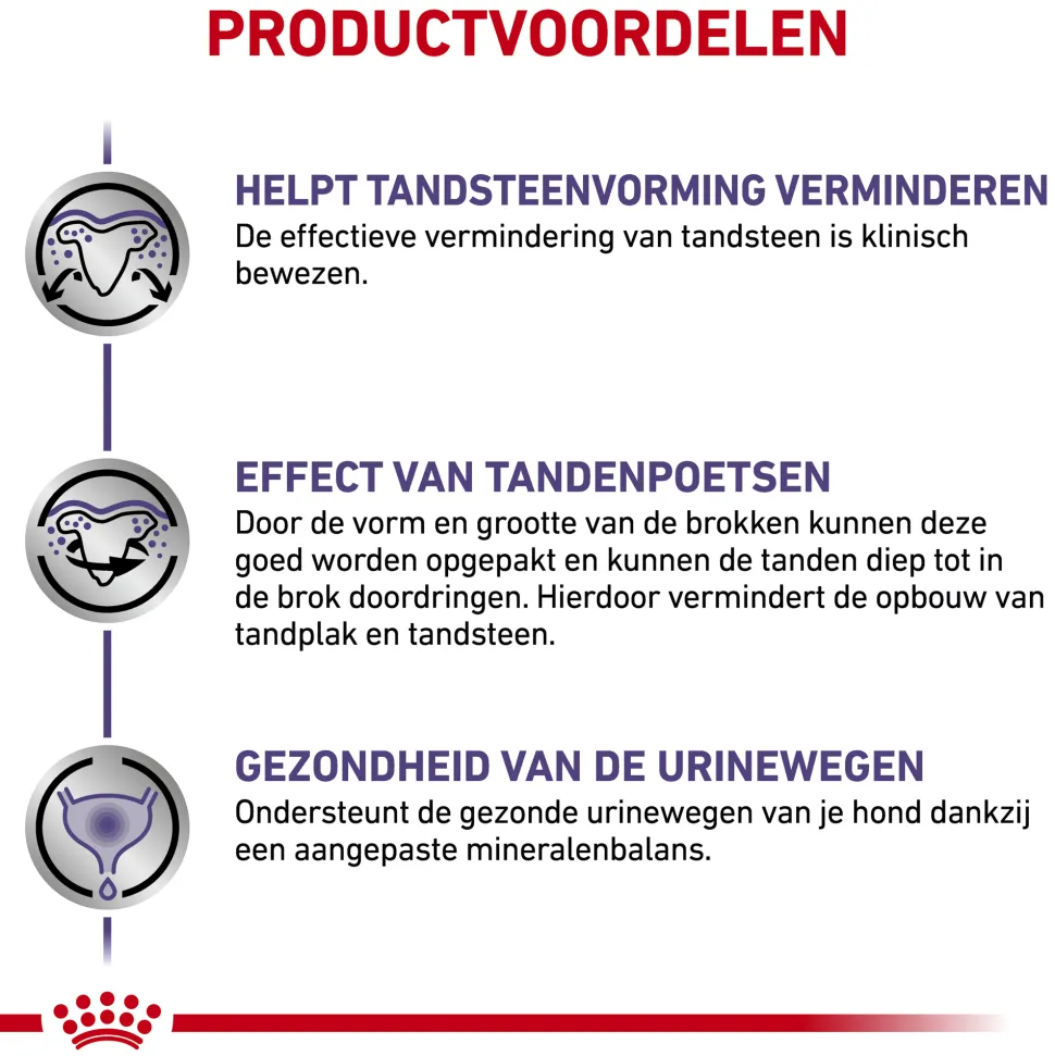 Royal Canin Dental Kleine Hond