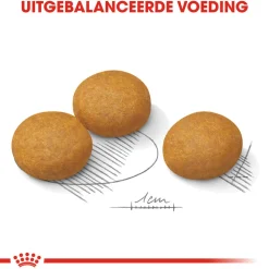 Royal Canin Dermacomfort Maxi - Hondenvoer