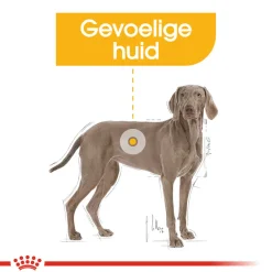 Royal Canin Dermacomfort Maxi - Hondenvoer