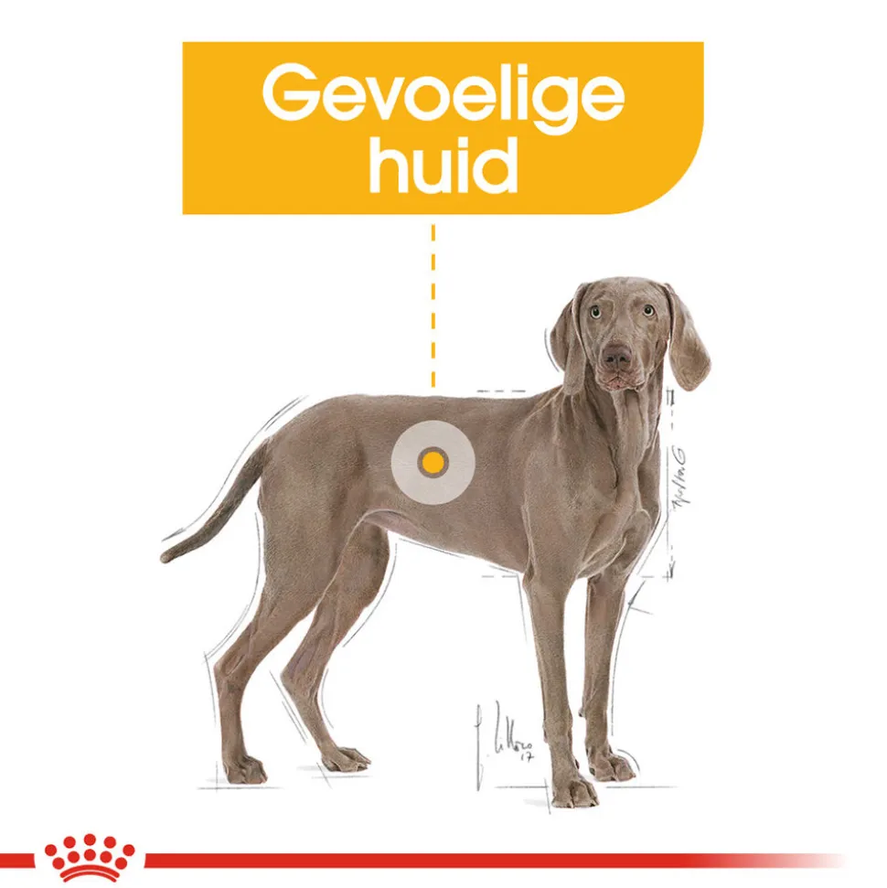Royal Canin Dermacomfort Maxi - Hondenvoer