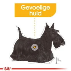 Royal Canin Dermacomfort Wet - Hondenvoer