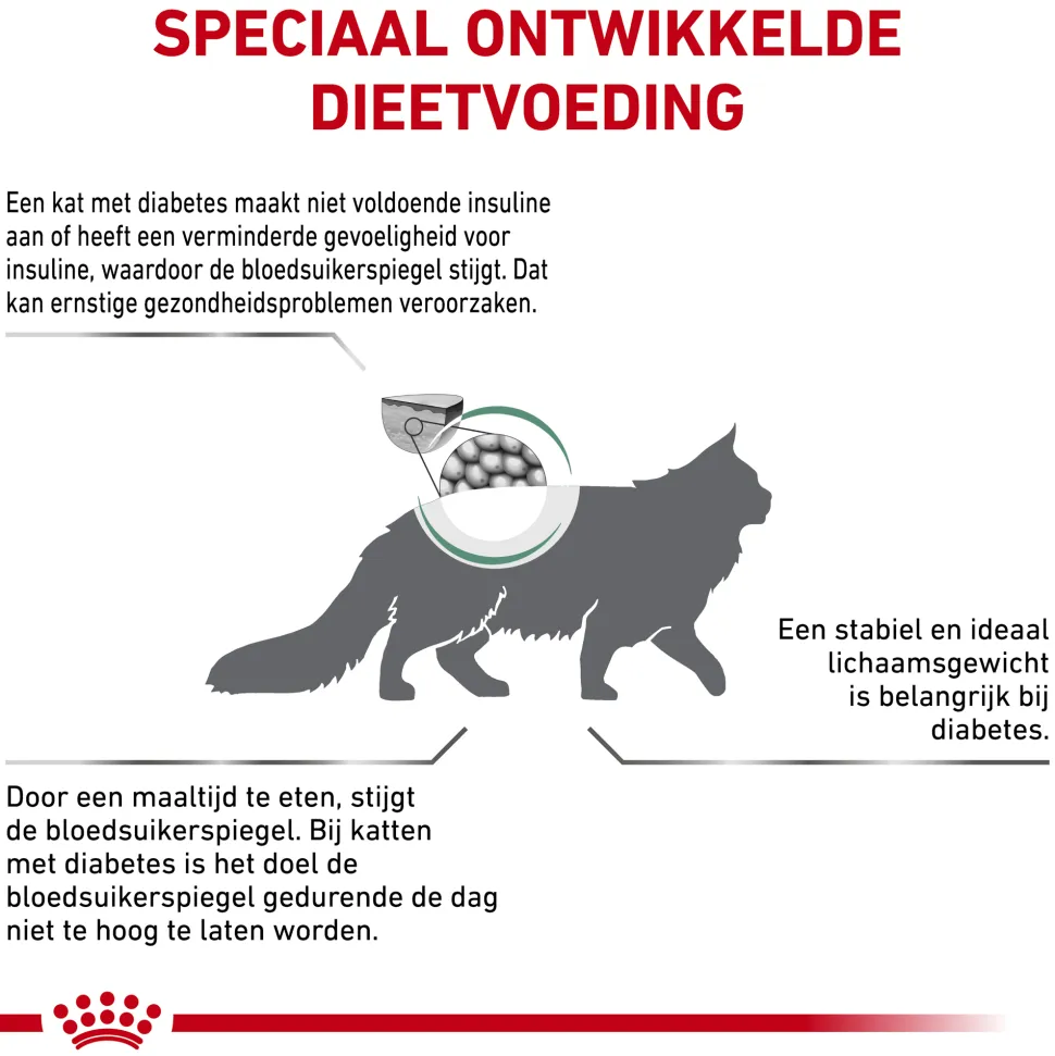 Royal Canin Diabetic Kat