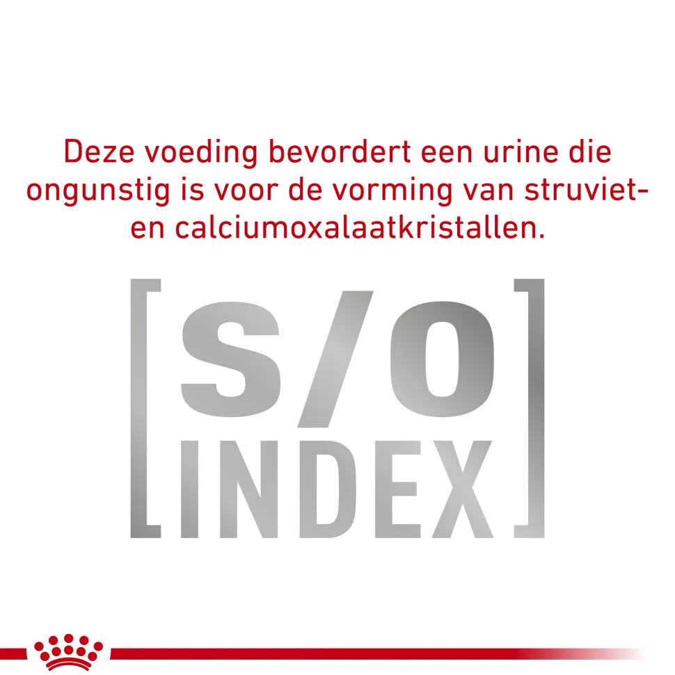 Royal Canin Diabetic Kat - Maaltijdzakje