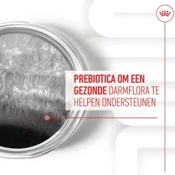 Royal Canin Digestion Supplements Chews Hond