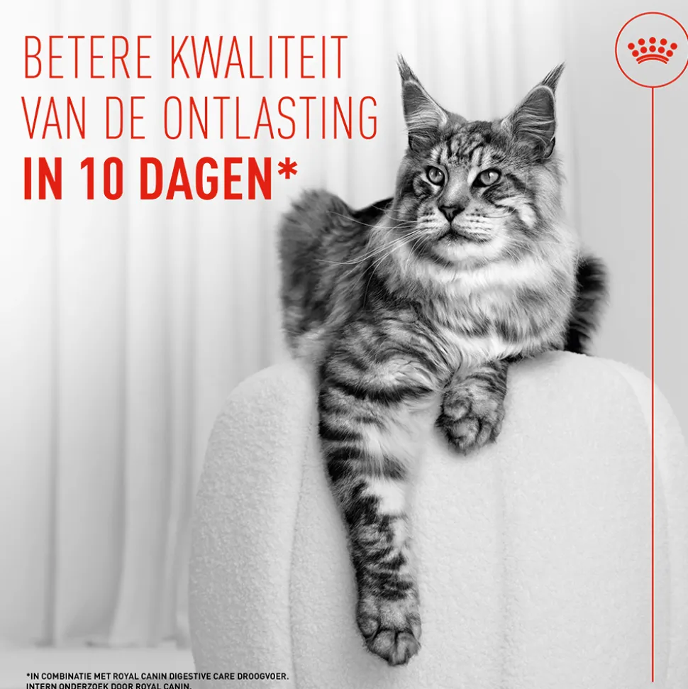 Royal Canin Digestive Care Airlift Mousse - Kattenvoer