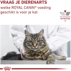 Royal Canin Early Renal in Gravy - Kattenvoer