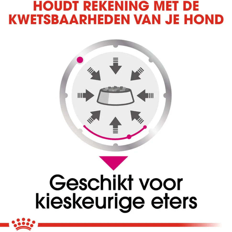 Royal Canin Exigent Wet - Hondenvoer