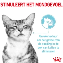 Royal Canin FHN Sensory Feel In Gravy