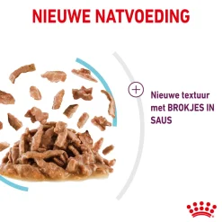 Royal Canin FHN Sensory Feel In Gravy