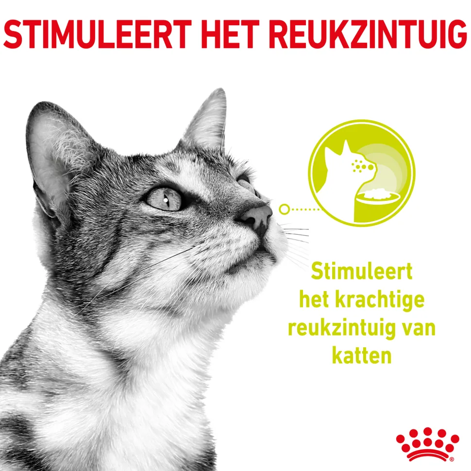 Royal Canin FHN Sensory Multipack in Gravy