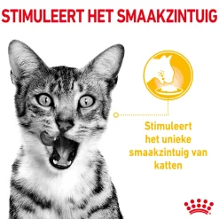 Royal Canin FHN Sensory Multipack in Gravy