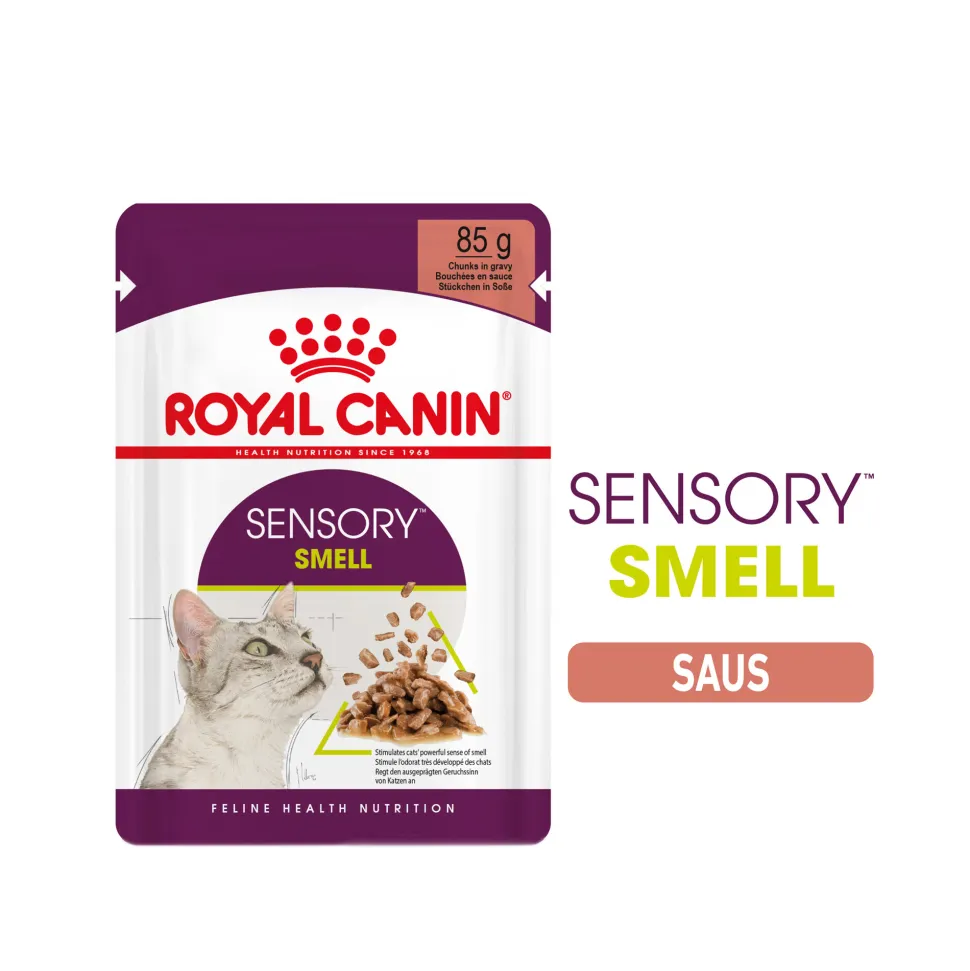 Royal Canin FHN Sensory Smell In Gravy