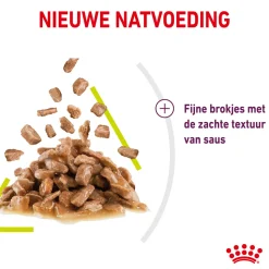 Royal Canin FHN Sensory Smell In Gravy