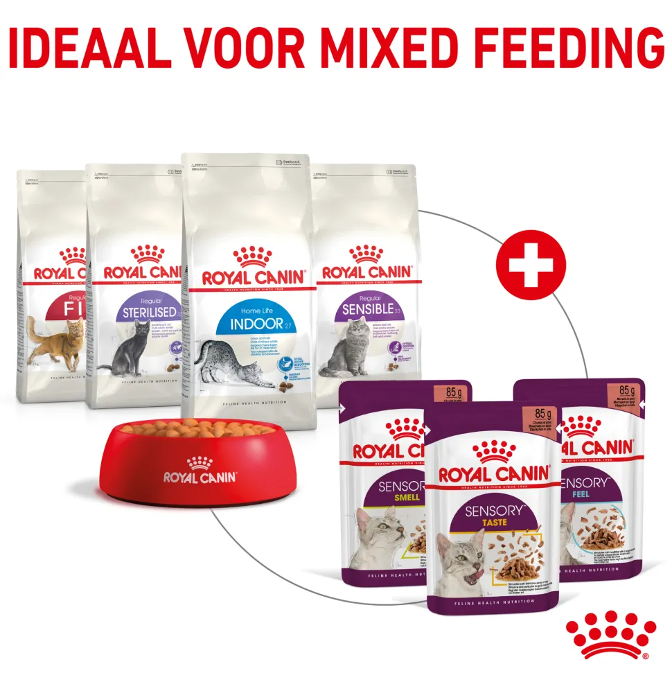 Royal Canin FHN Sensory Smell In Gravy