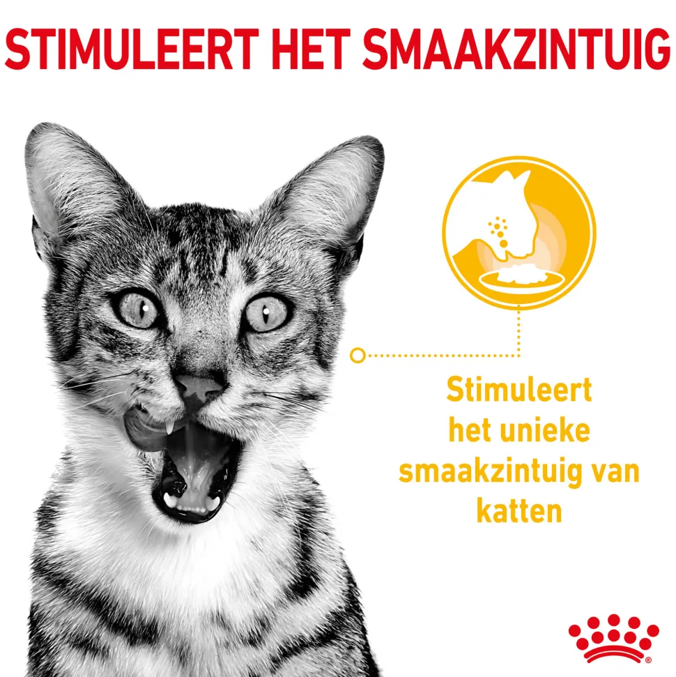 Royal Canin FHN Sensory Taste in Sauce