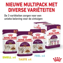 Royal Canin FHN Sensory Taste in Sauce