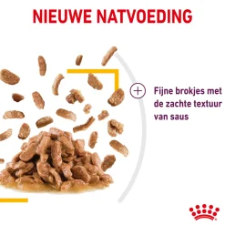 Royal Canin FHN Sensory Taste in Sauce