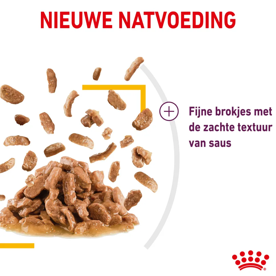 Royal Canin FHN Sensory Taste in Sauce
