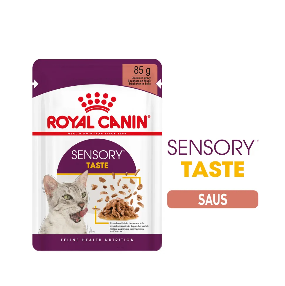Royal Canin FHN Sensory Taste in Sauce
