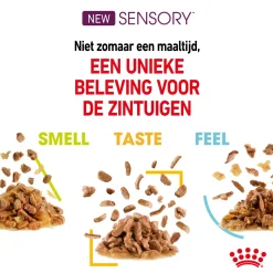 Royal Canin FHN Sensory Taste in Sauce