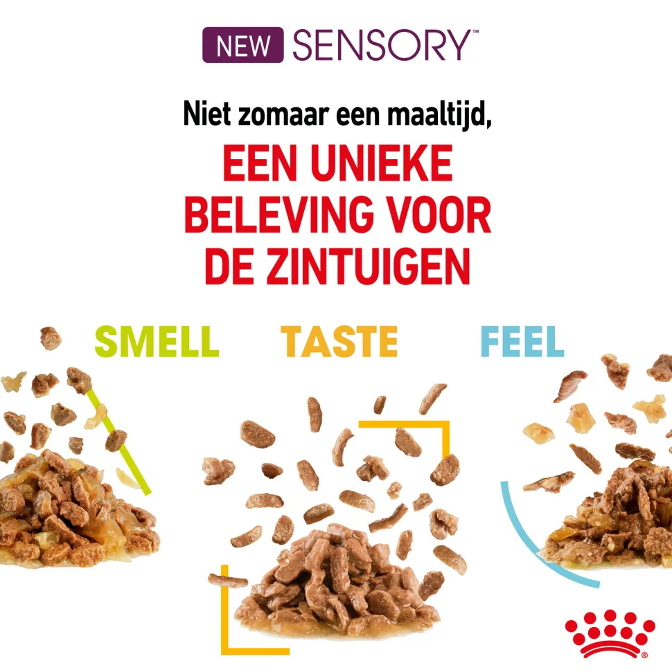 Royal Canin FHN Sensory Taste in Sauce