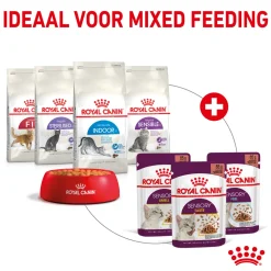 Royal Canin FHN Sensory Taste in Sauce