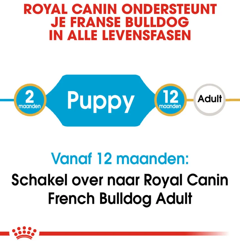 Royal Canin French Bulldog Puppy - Hondenvoer