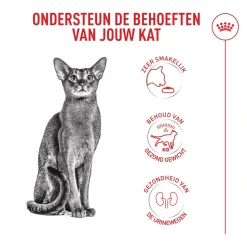 Royal Canin Fussy Exigent - Kattenvoer