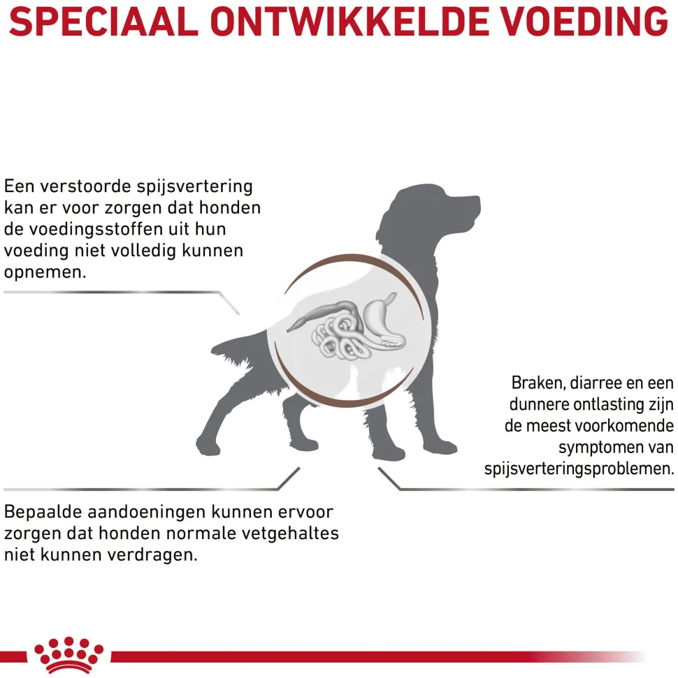 Royal Canin Gastrointestinal Low Fat Hond