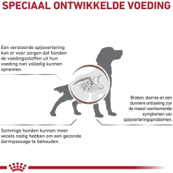 Royal Canin Gastrointestinal High Fibre Hond