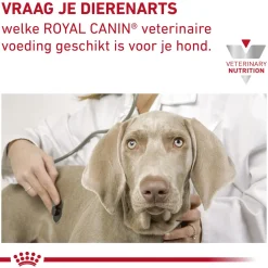 Royal Canin Gastrointestinal Puppy Hond