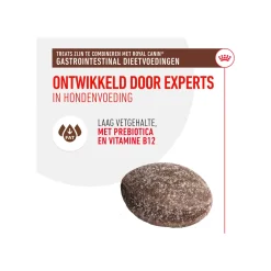 Royal Canin Gastrointestinal Treats
