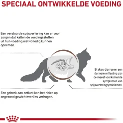 Royal Canin Gastrointestinal Kat
