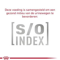 Royal Canin Gastrointestinal Kat