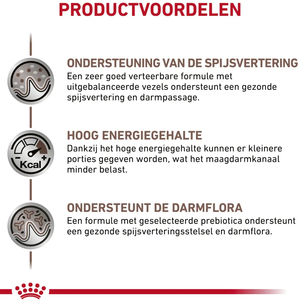 Royal Canin Gastrointestinal Kat