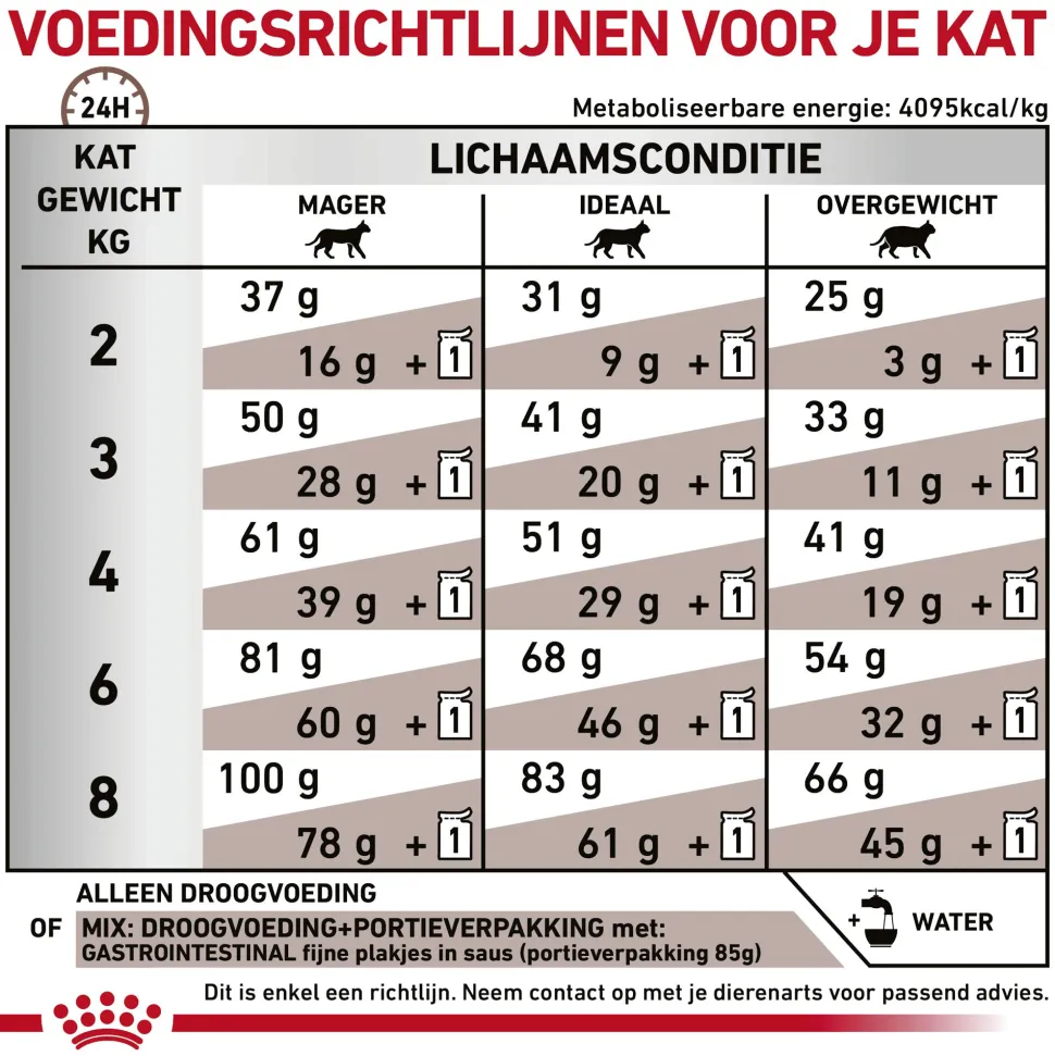 Royal Canin Gastrointestinal Kat