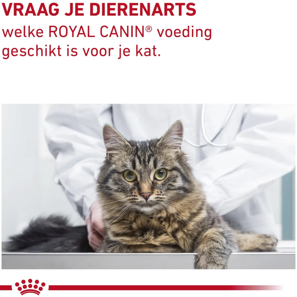 Royal Canin Gastrointestinal Fibre Response Kat