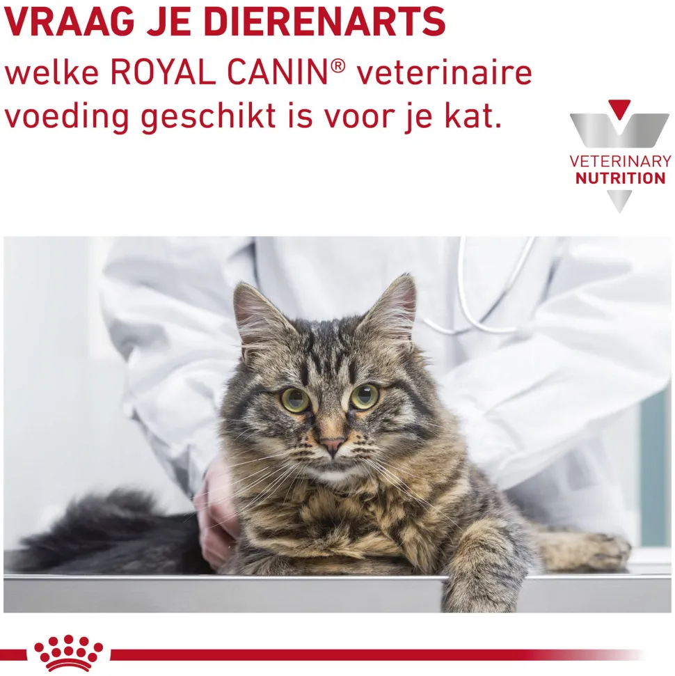 Royal Canin Gastrointestinal Kitten