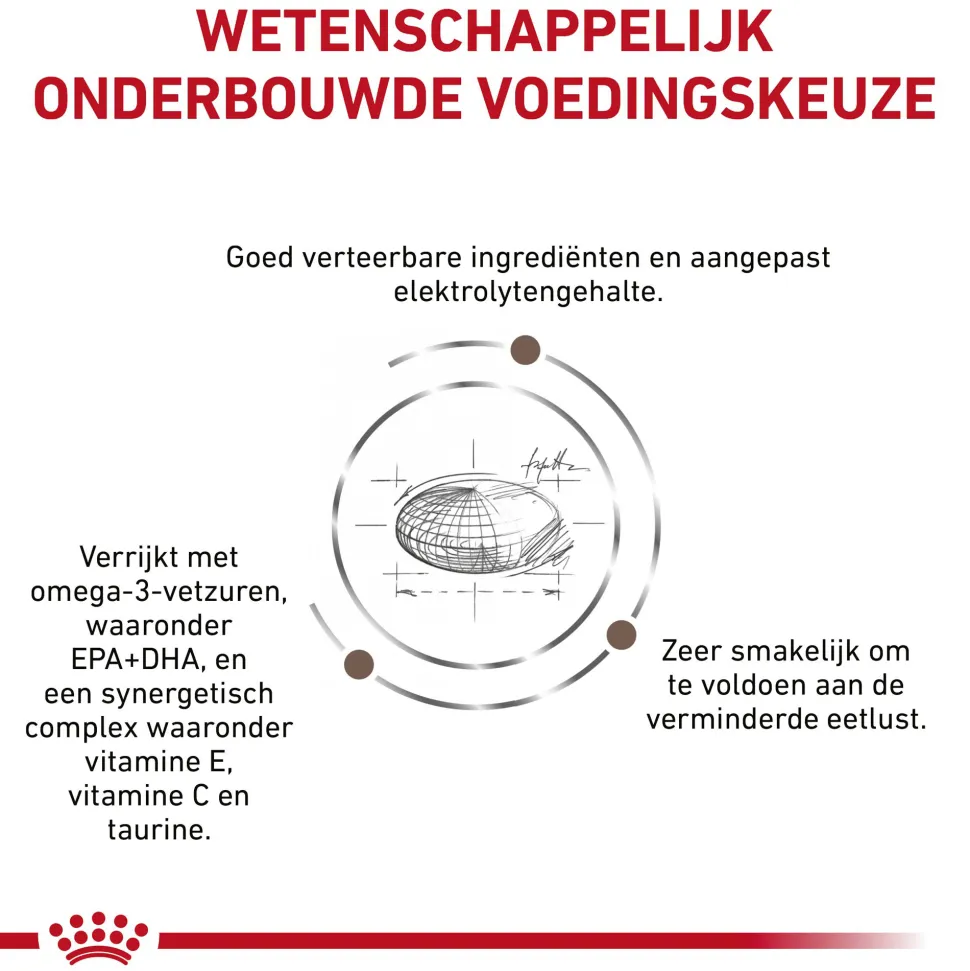 Royal Canin Gastrointestinal Moderate Calorie Kat