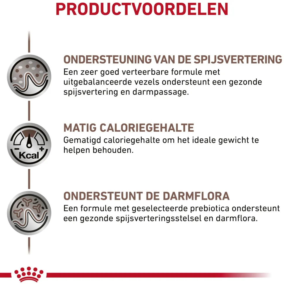 Royal Canin Gastrointestinal Moderate Calorie Kat